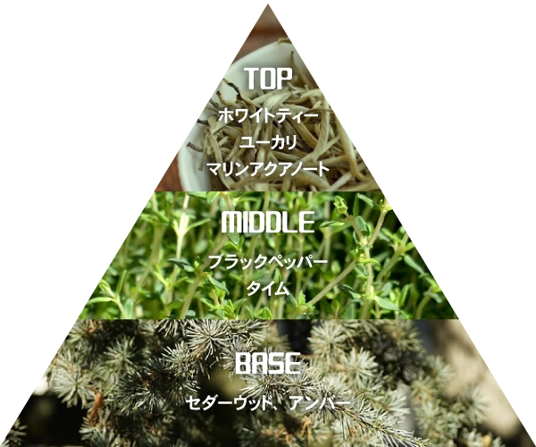 潔 世一 ～クリアフォーカス～