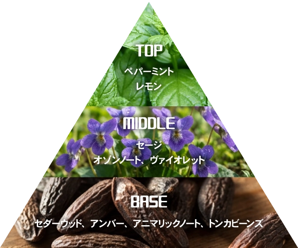 糸師 冴 ～フロストコントロール～